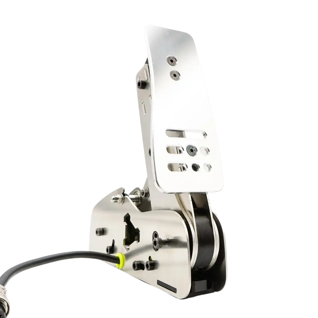 Ngasa Acceleratore Throttle by 3D-Rap - Pedals